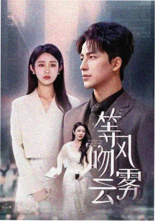 雾港迷局 全集在线观看